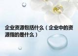 企業(yè)資源包括什么（企業(yè)中的資源指的是什么）