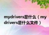 mydrivers是什么（mydrivers是什么文件）