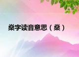 燊字讀音意思（燊）