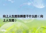 向上人生路張鵬是干什么的（向上人生路）