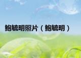 鮑毓明照片（鮑毓明）