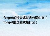 forget的過去式過去分詞中文（forget的過去式是什么）