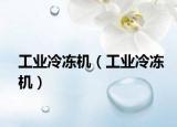 工業(yè)冷凍機(jī)（工業(yè)冷凍機(jī)）
