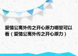 愛情公寓外傳之開心原力哪里可以看（愛情公寓外傳之開心原力）
