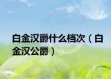 白金漢爵什么檔次（白金漢公爵）