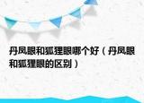 丹鳳眼和狐貍眼哪個(gè)好（丹鳳眼和狐貍眼的區(qū)別）
