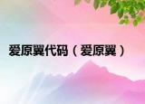 愛原翼代碼（愛原翼）