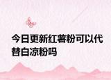 今日更新紅薯粉可以代替白涼粉嗎
