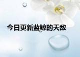 今日更新藍(lán)鯨的天敵
