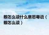 曌怎么讀什么意思粵語（曌怎么讀）