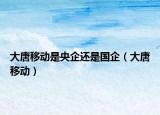 大唐移動(dòng)是央企還是國企（大唐移動(dòng)）