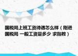 國稅局上班工資待遇怎么樣（剛進(jìn)國稅局 一般工資是多少 求指教）