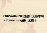 FBIWARNING這是什么意思?。╢biwarning是什么梗）