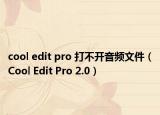 cool edit pro 打不開音頻文件（Cool Edit Pro 2.0）