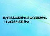 fly的過去式是什么過去分詞是什么（fly的過去式是什么）