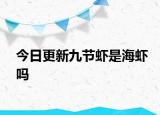 今日更新九節(jié)蝦是海蝦嗎