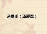 湯愛明（湯愛軍）