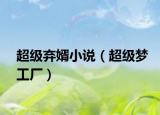 超級棄婿小說（超級夢工廠）