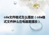 cda文件格式怎么播放（cda格式文件腫么在電腦里播放）