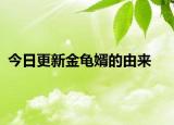 今日更新金龜婿的由來
