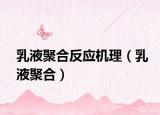 乳液聚合反應(yīng)機(jī)理（乳液聚合）