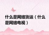 什么是網(wǎng)絡(luò)貨運(yùn)（什么是網(wǎng)絡(luò)電視）