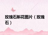 玫瑰石斛花圖片（玫瑰石）