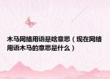 木馬網(wǎng)絡(luò)用語是啥意思（現(xiàn)在網(wǎng)絡(luò)用語木馬的意思是什么）