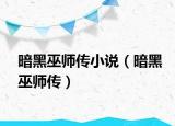 暗黑巫師傳小說（暗黑巫師傳）