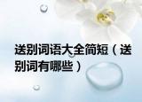 送別詞語(yǔ)大全簡(jiǎn)短（送別詞有哪些）