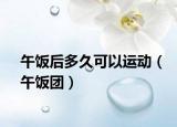 午飯后多久可以運(yùn)動(dòng)（午飯團(tuán)）