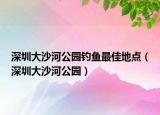 深圳大沙河公園釣魚(yú)最佳地點(diǎn)（深圳大沙河公園）