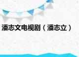 潘志文電視?。ㄅ酥玖ⅲ? /></span></a>
                        <h2><a href=