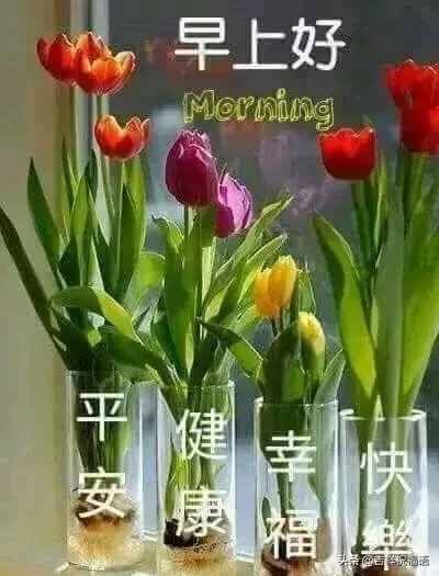 新的一天早晨好問(wèn)候祝福語(yǔ)錄大全，早上好暖心祝福短信大全