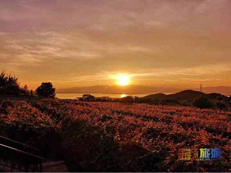 這13個景點(diǎn)帶你打卡京郊密云的秋天！有些堪稱人少景美！紅楓搖曳，五彩斑斕！
