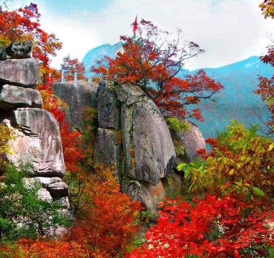景區(qū)也破產(chǎn)？5A景區(qū)負(fù)債超9億，4A景區(qū)栽在玻璃棧道