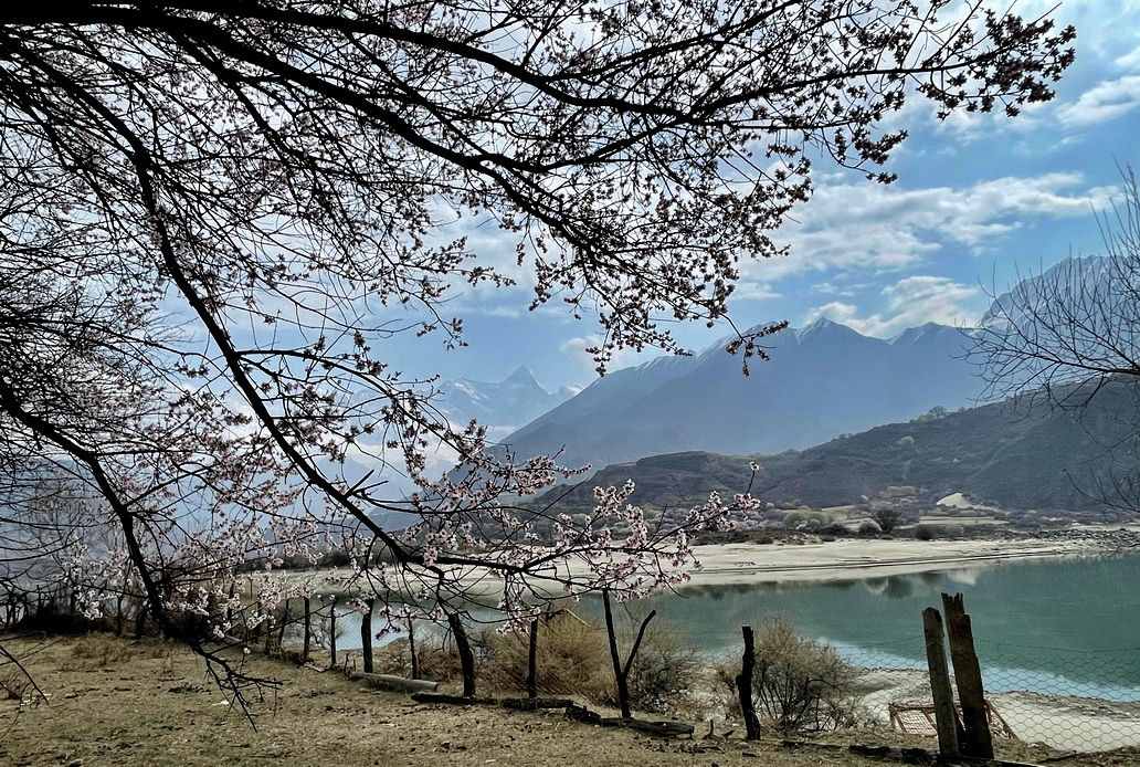 攝影人川藏自駕：林芝最好桃花在哪兒？收門票的索松村是桃花源嗎