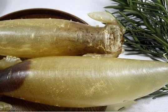 花膠怎樣吃？怎樣選？越貴越好嗎？看這一篇就夠了