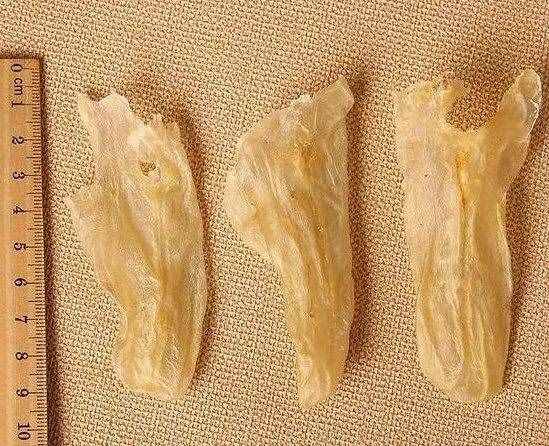 花膠怎樣吃？怎樣選？越貴越好嗎？看這一篇就夠了