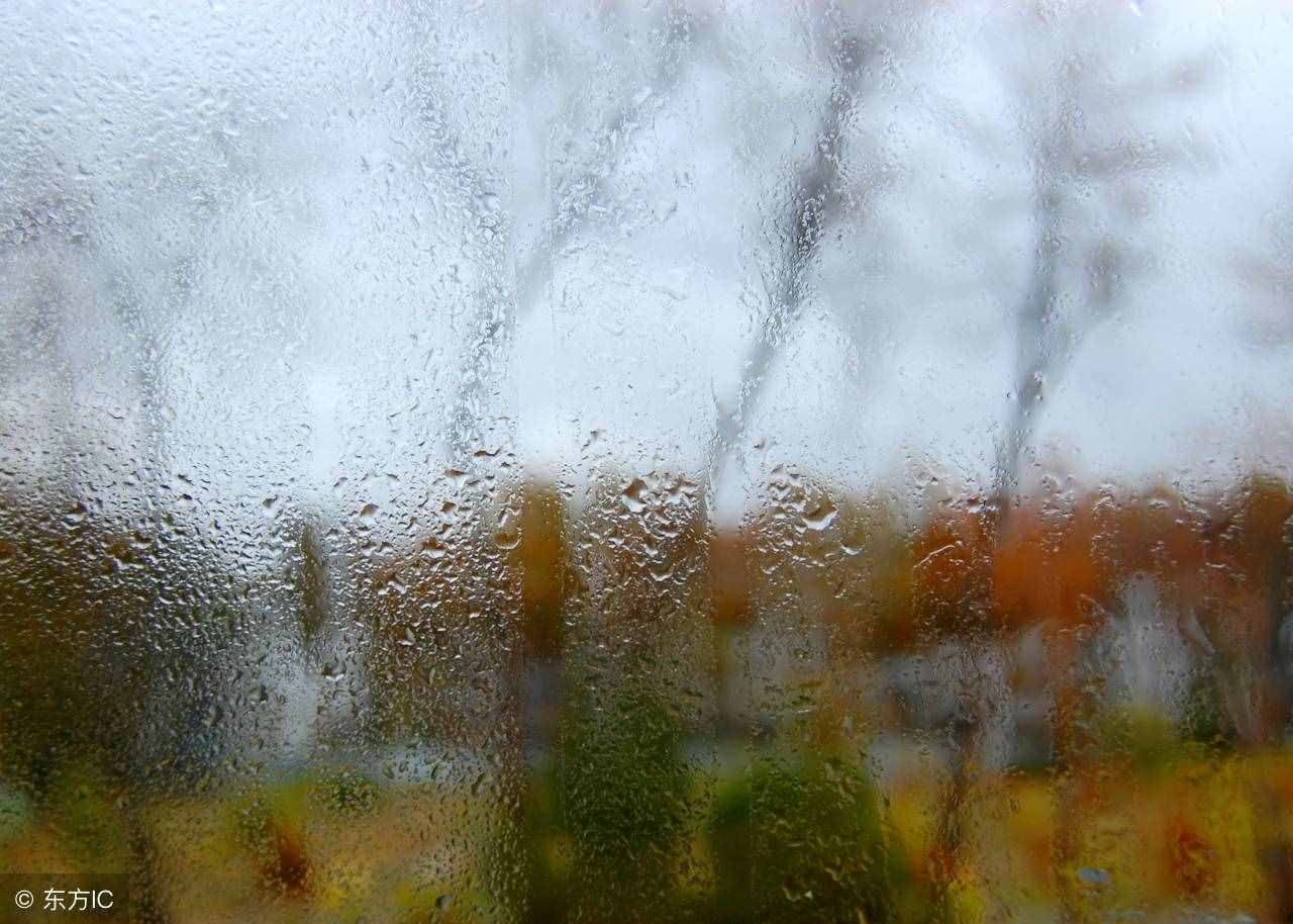 最接地氣的高級(jí)情話，暖心撩人，溫柔只給意中人！