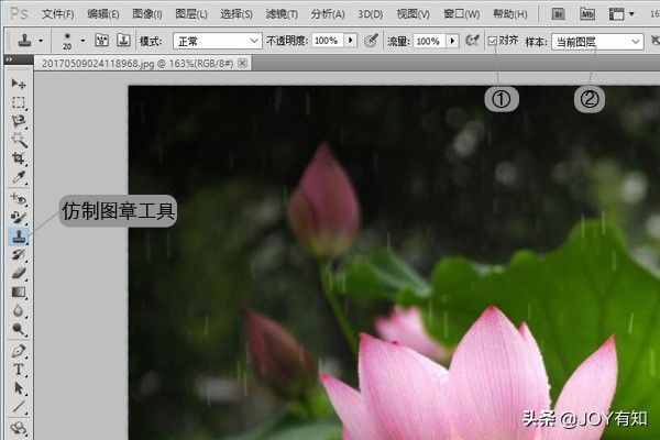 Photoshop從入門到精通：圖章工具，教你用圖章工具精美圖像
