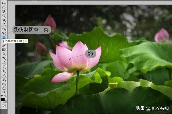 Photoshop從入門到精通：圖章工具，教你用圖章工具精美圖像