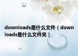 downloads是什么文件（downloads是什么文件夾）