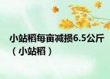 小站稻每畝減損6.5公斤（小站稻）