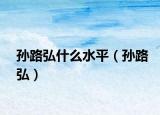 孫路弘什么水平（孫路弘）