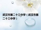 武漢市第二十三中學（武漢市第二十三中學）