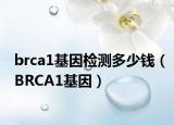 brca1基因檢測(cè)多少錢（BRCA1基因）