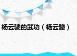 楊云驄的武功（楊云驄）