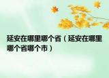 延安在哪里哪個?。ㄑ影苍谀睦锬膫€省哪個市）