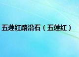 五蓮紅路沿石（五蓮紅）